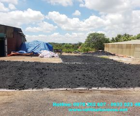 Than hoạt tính dạng viên