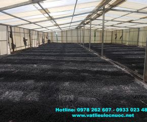 Than hoạt tính dạng viên